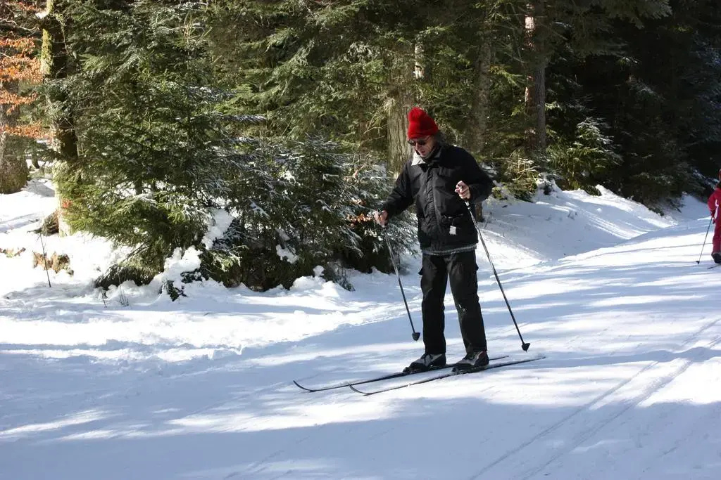 Volcans Vacances Les Chalets Du Lac