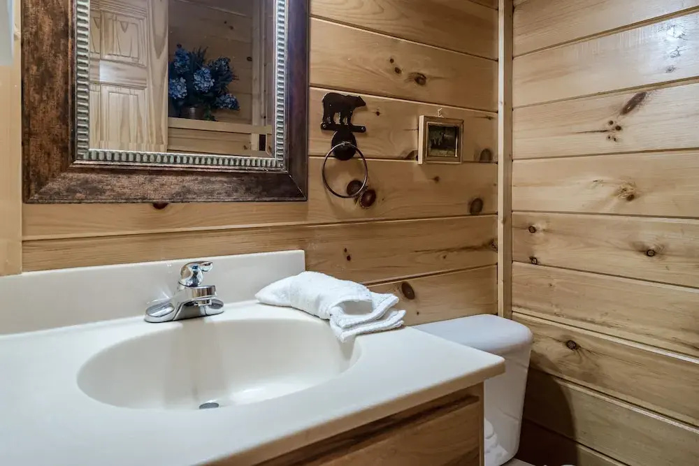 Bear Vista Retreat w HotTub Pool View