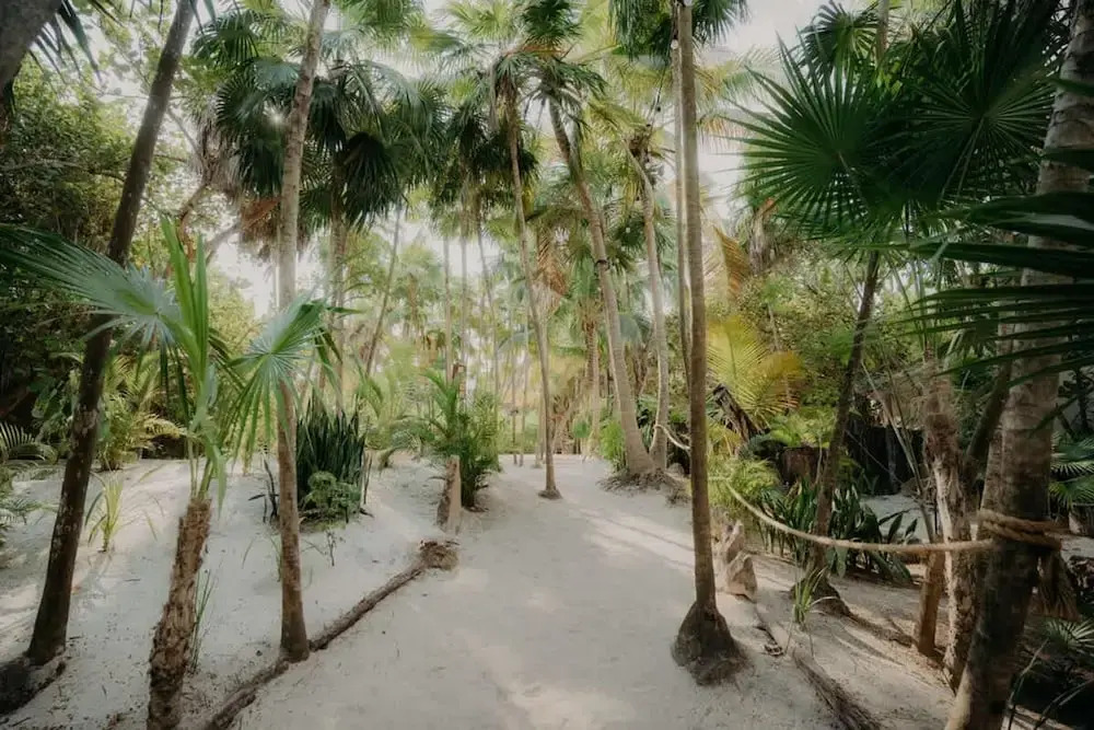 Luxury Jungle Retreat Sleeps 10 Rooftop Pool