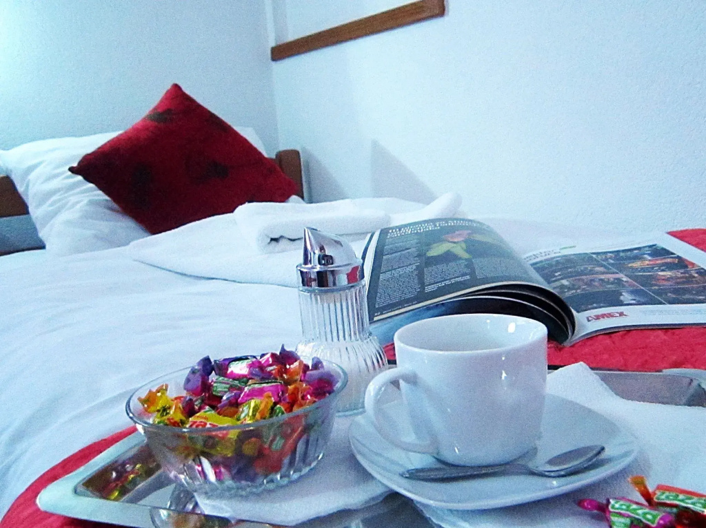 "VILLA DENY" Boutique HOTEL - included "FREE PARKING"