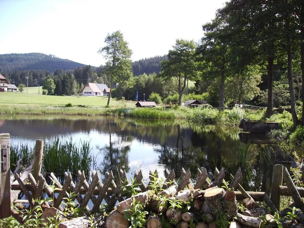 Landgasthaus Backhof-Helmle