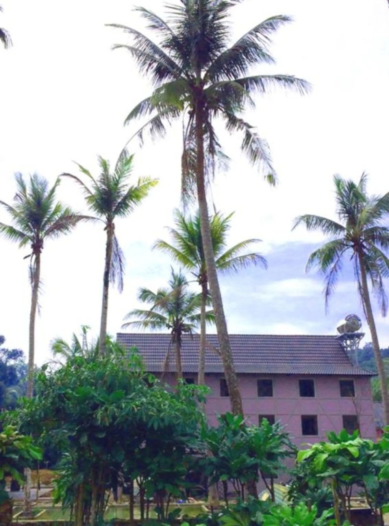 Lilac Cottage Homestay