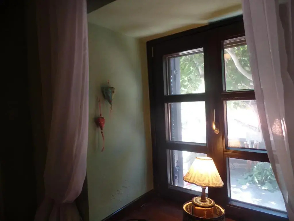 The fig tree house