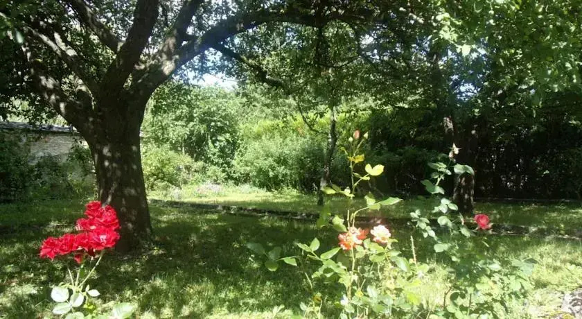 Le Grand Jardin