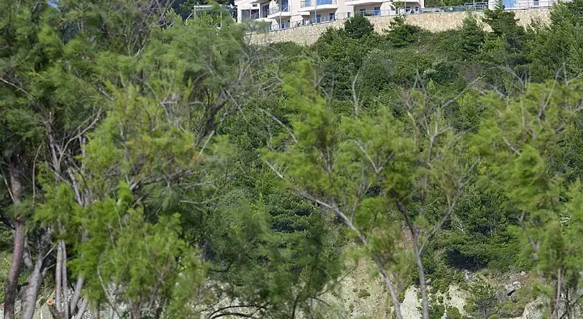 Xenia Residence