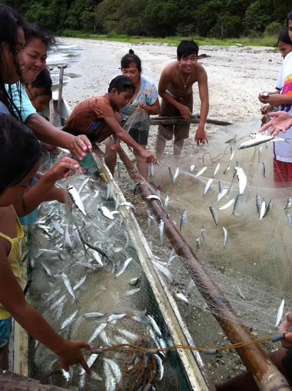 Mangrove Resort