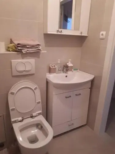 Apartment Igor