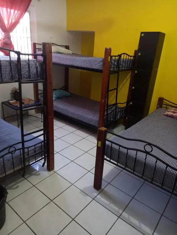 Hostel Monkey
