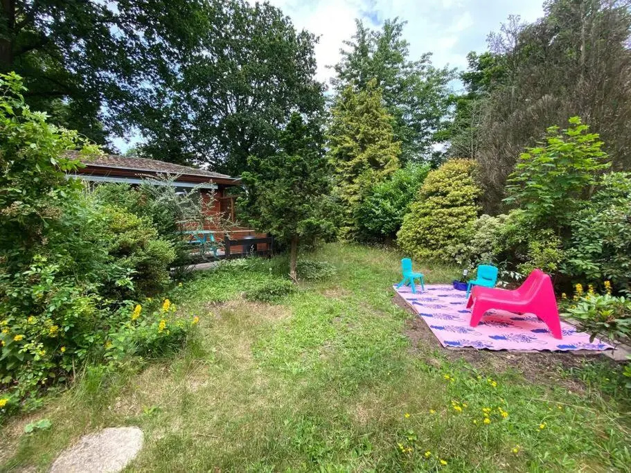 Kleurrijk huisje voor 5-personen op de Veluwe