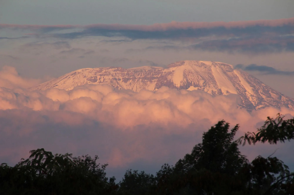 Ngare Sero Mountain Lodge