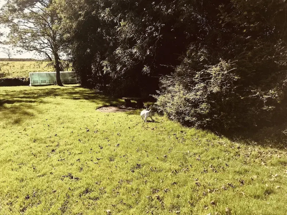 3 Bedroom Country Retreat - Dogs Welcome