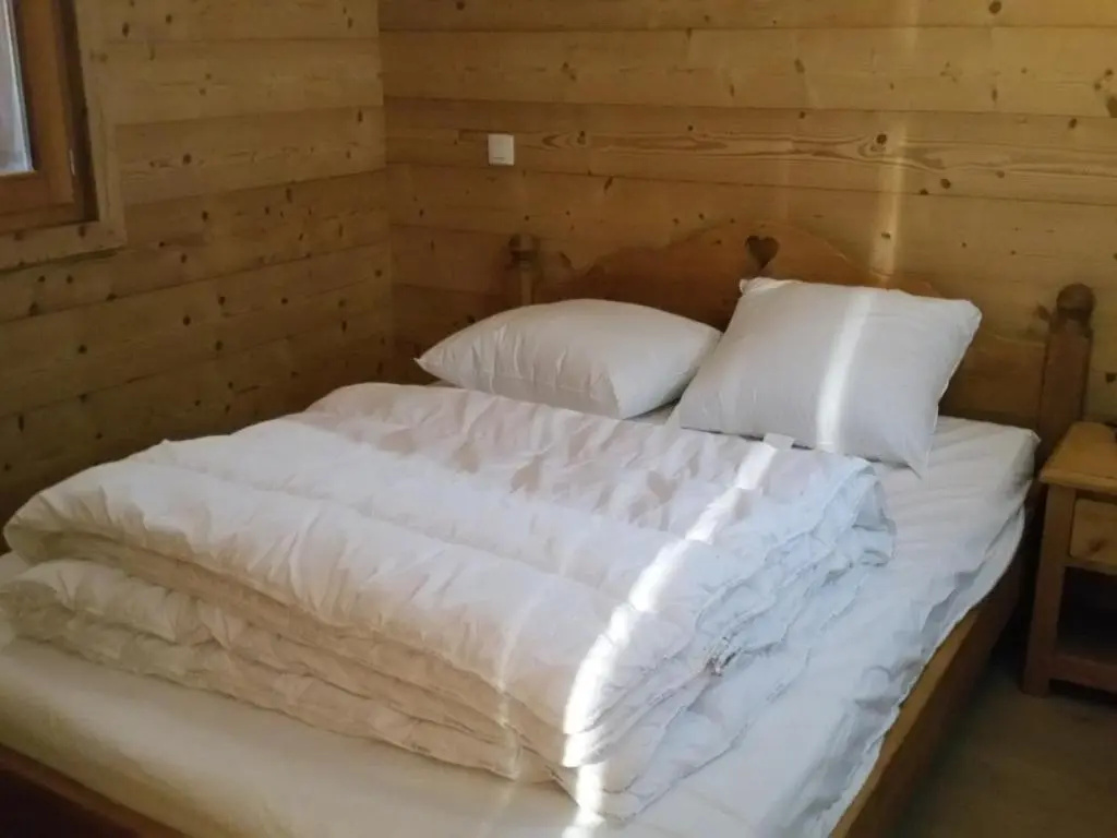 Appartement Saint-Jean-de-Sixt, 2 pièces, 5 personnes - FR-1-459-113