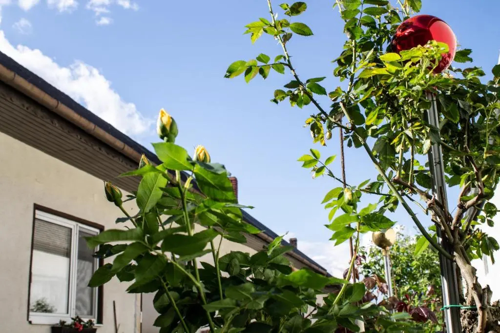 Ferienwohnung Casa Flora