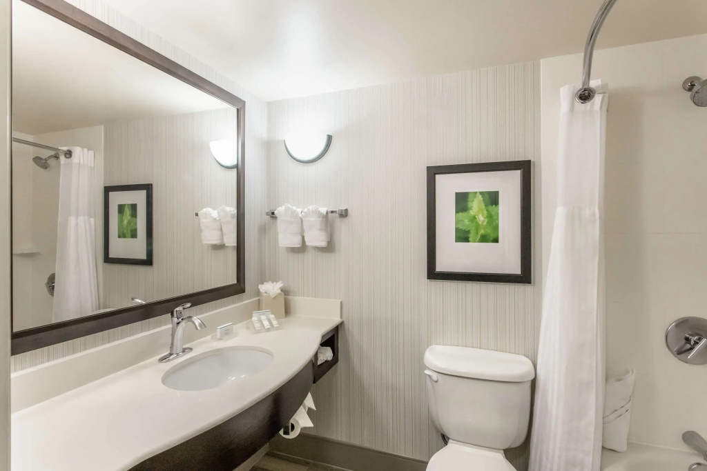 Hilton Garden Inn Orlando at SeaWorld
