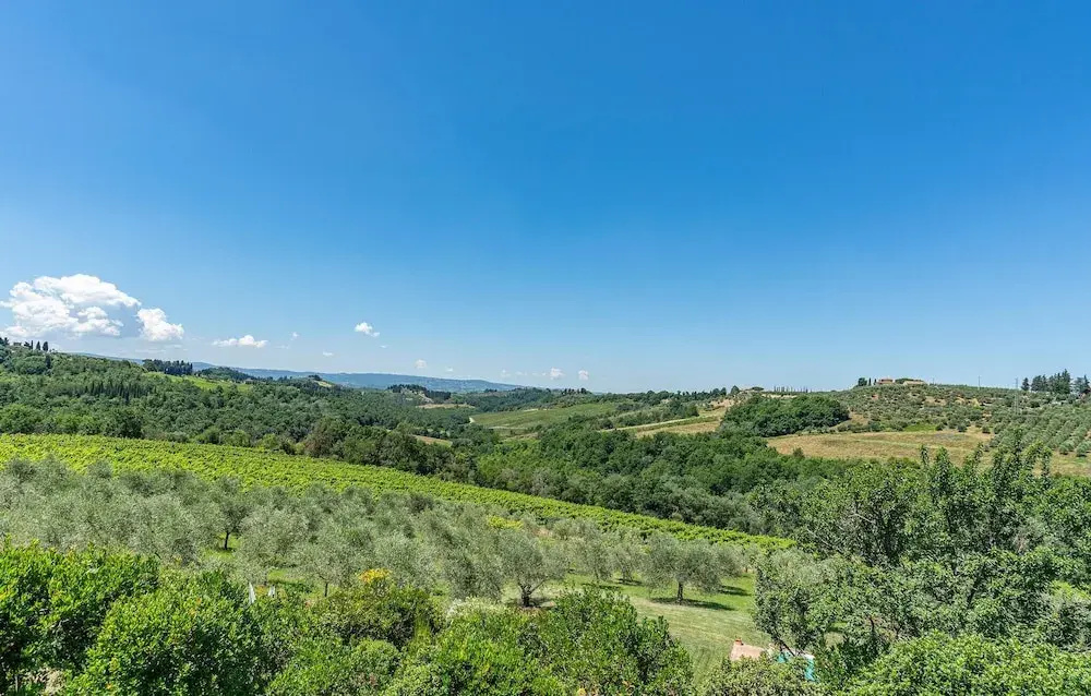 Certinuzza