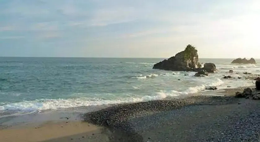 Condo In Manzanillo