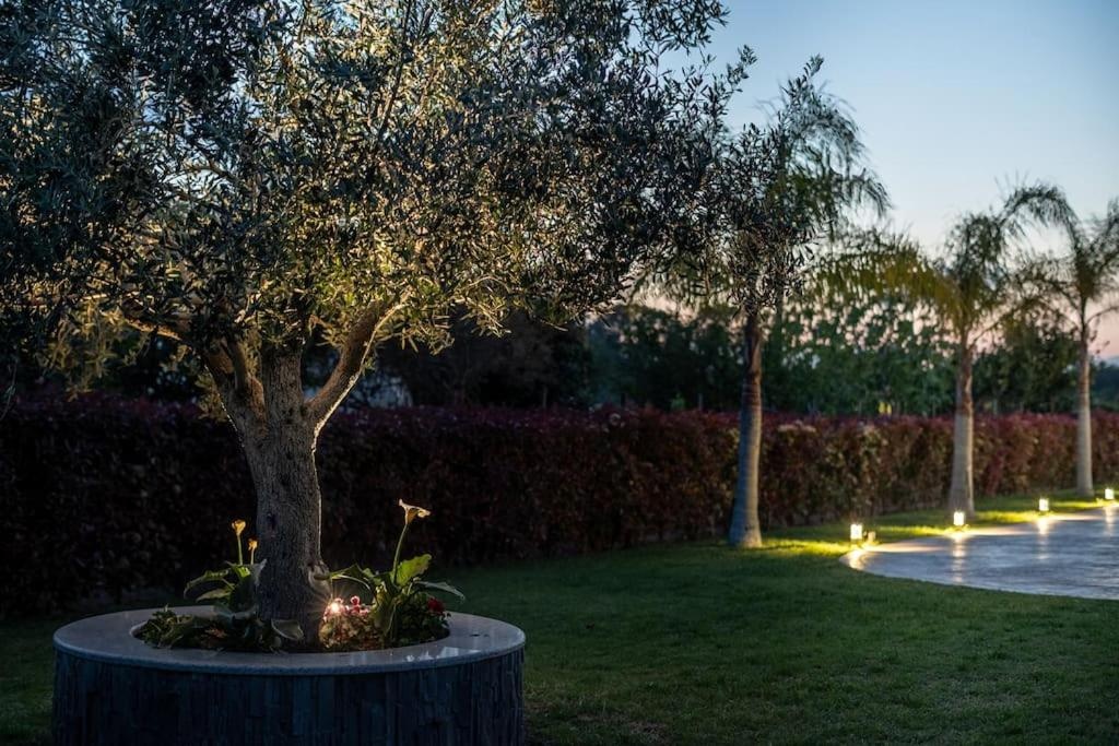 ''Aeolos'' Luxury Villa