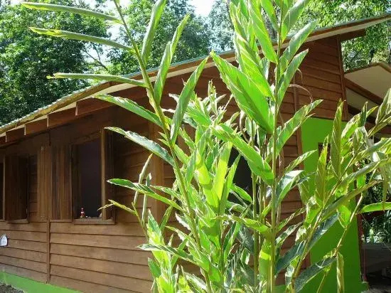 Casa Lina sloth view exotic apartment with privat kitchen
