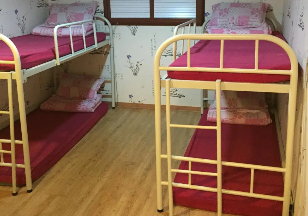 Dongdaemun Inn Guest House – Hostel