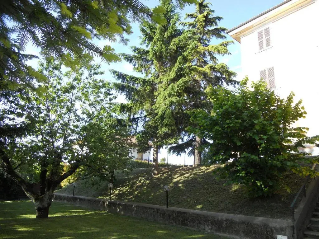Il Cedro