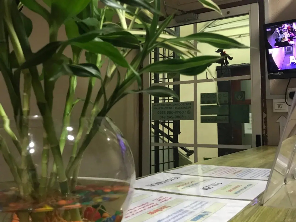 Iskandar Sinsuran Homestay