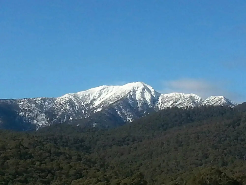 View Mount
