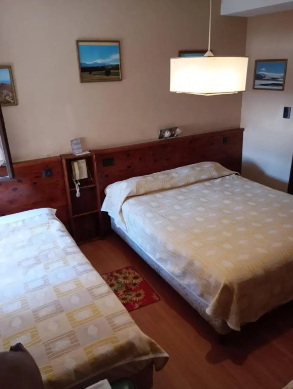 Hotel Astor Junin