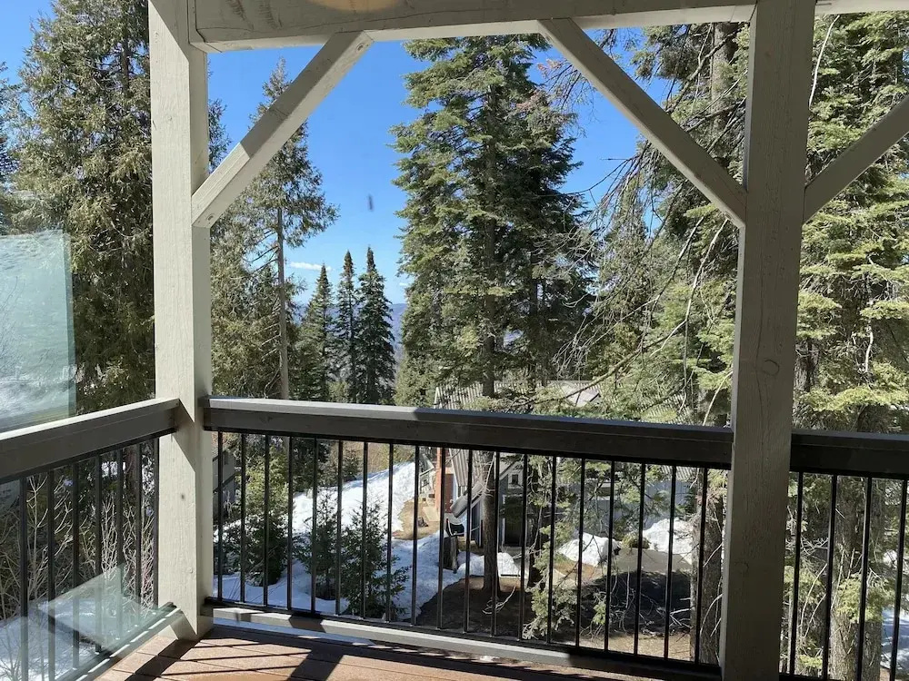 Yosemite's Pine Cove