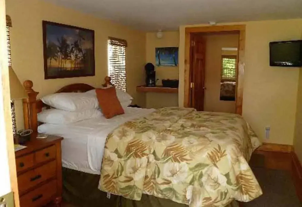 Harriet's House