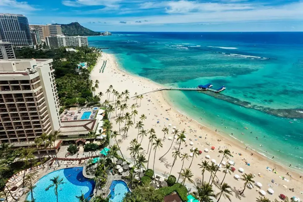 2 Bedroom on the 9th Floor with Diamond Head Views | 1 Block To Beach | Free Parking & Wifi