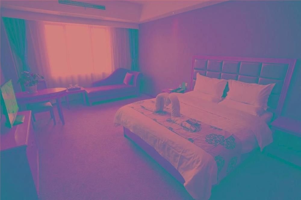 Xinglu  Hotel