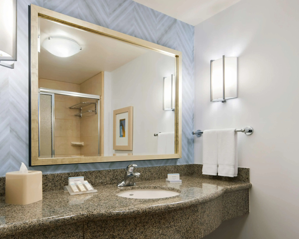 Hilton Garden Inn Dallas Richardson