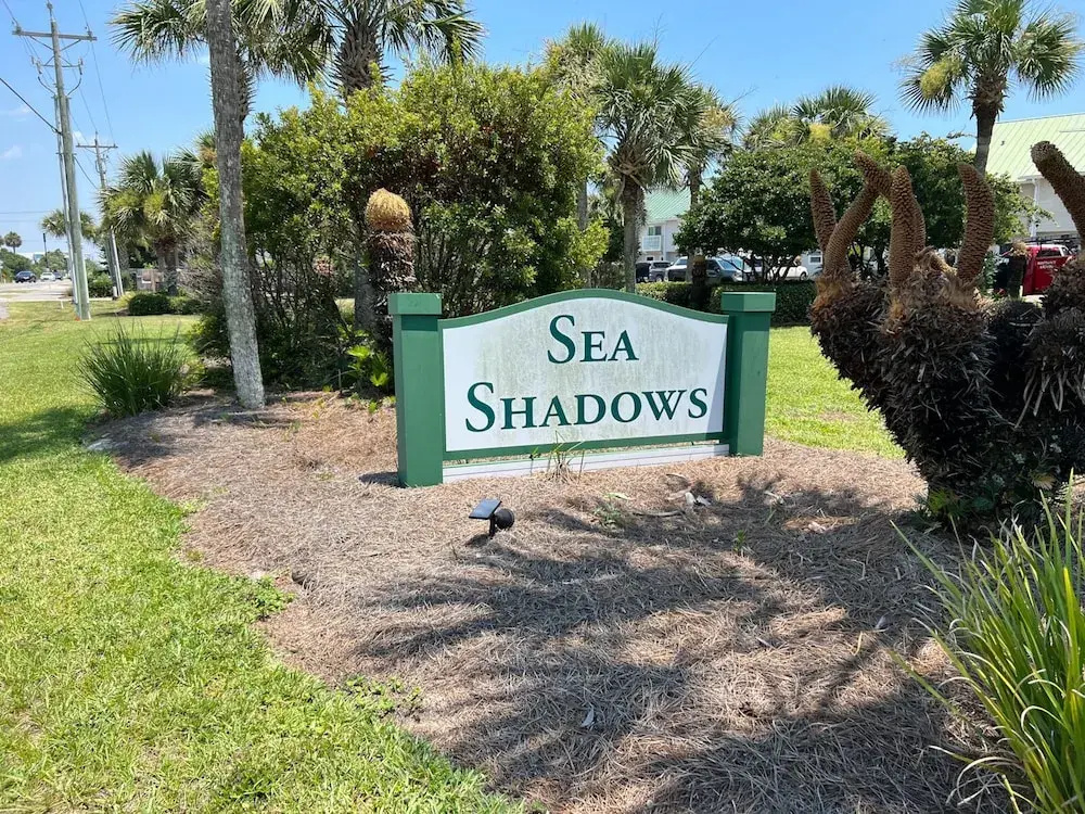 Sea Shadows 7