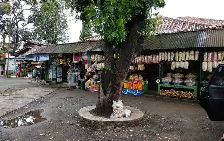 PUNCAK VILLAGE HOTEL & KAMPUNG MAIN ANAK