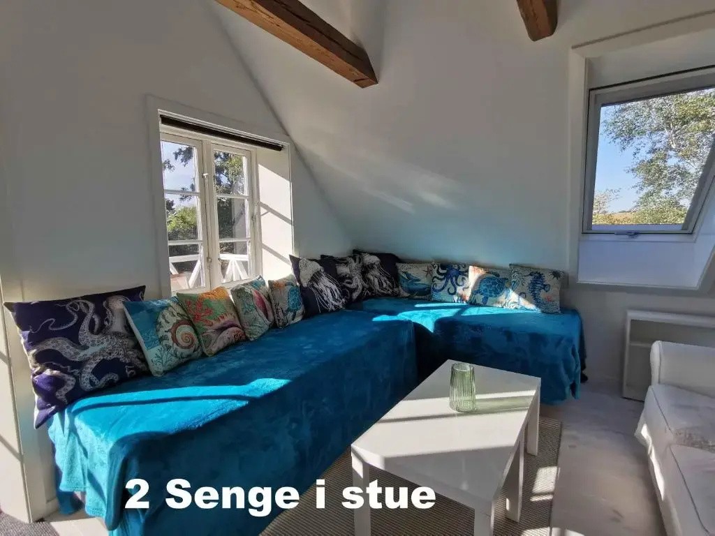 The \Loft\ Apartment- "Den Gule Svane" Guest House - near Rønne & Beach