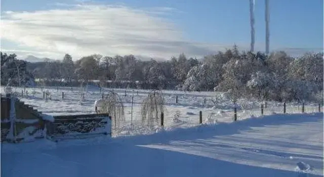 Balciuin B&B