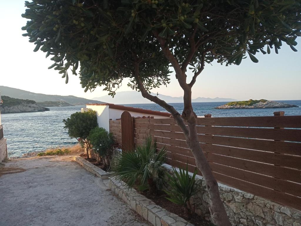 Floreica Studio By The Sea
