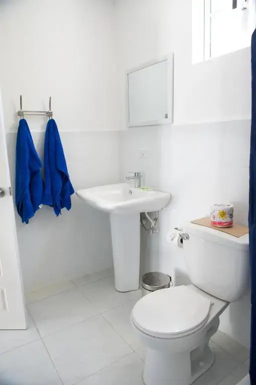 Cosmopolitan Guesthouse