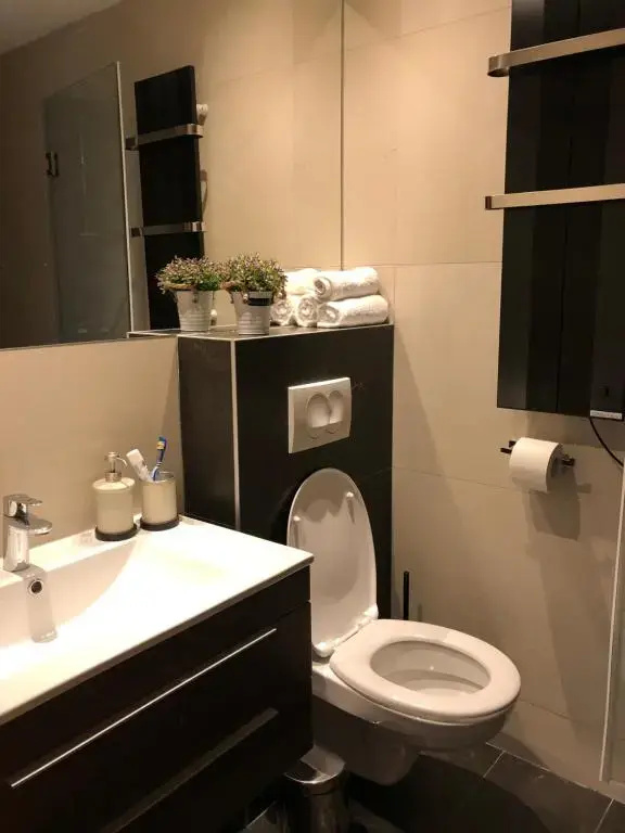 Vila Irina Apartman 8