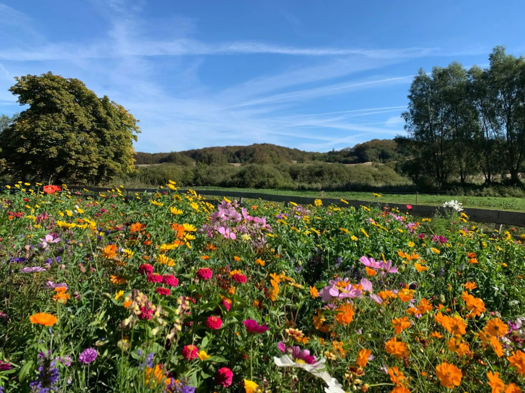 Ferienhaus am Nationalpark - Ihr Zuhause auf Rügen