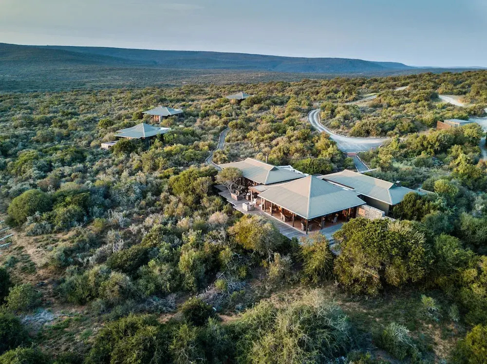 Kwandwe Private Game Reserve - Ecca Lodge