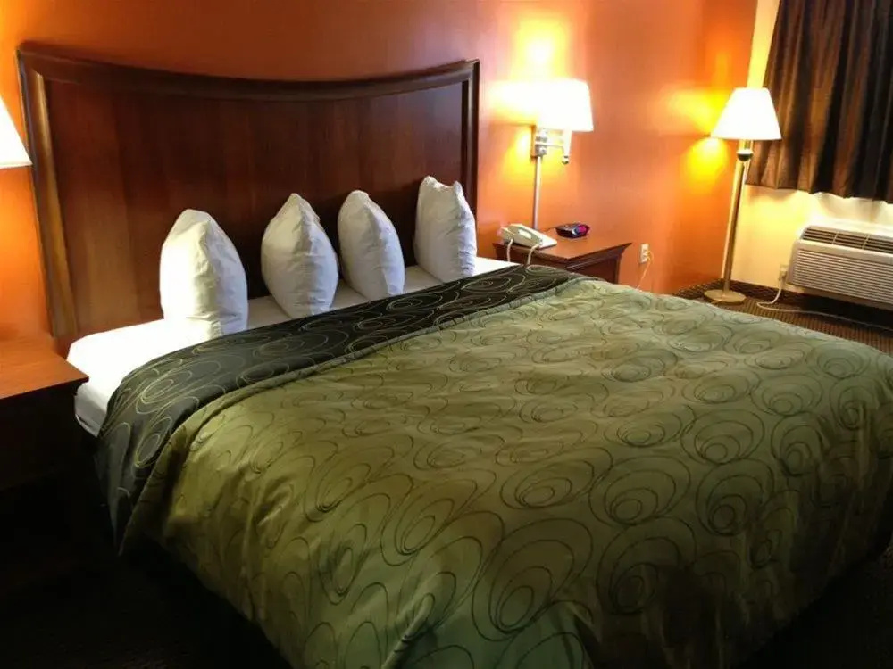 Rodeway Inn Baxley