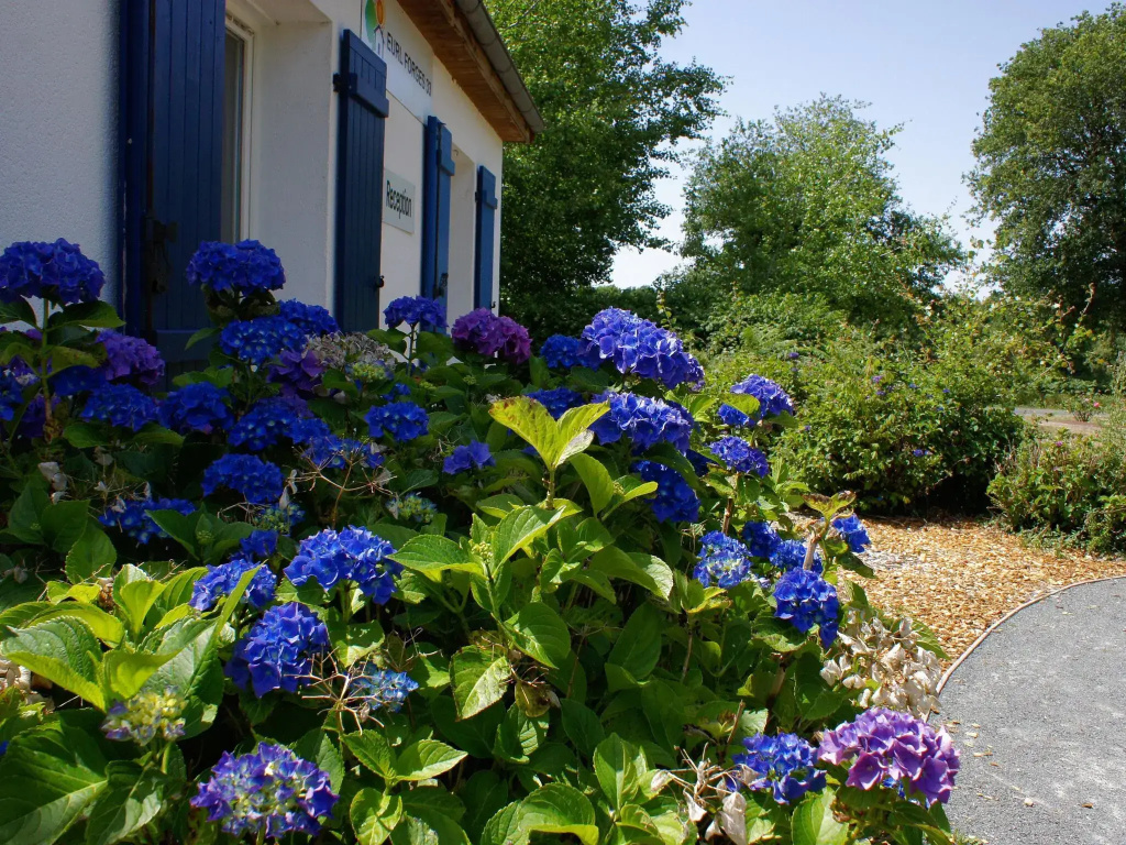Serene Villa in Les Forges with Swimming Pool