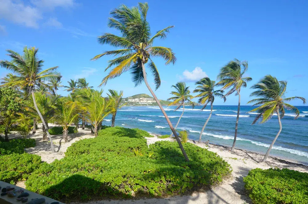 Palms Resort and Beach
