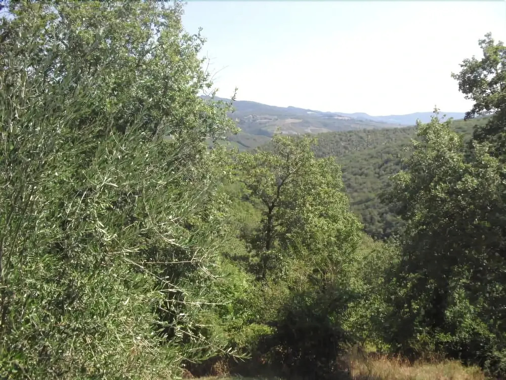 Locanda La Capannuccia