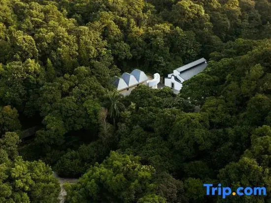 Duoman Osmanthus • Secluded Homestay