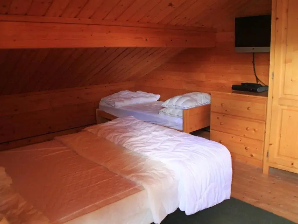 Chalet Chatel, 5 pièces, 8 personnes - FR-1-200-227