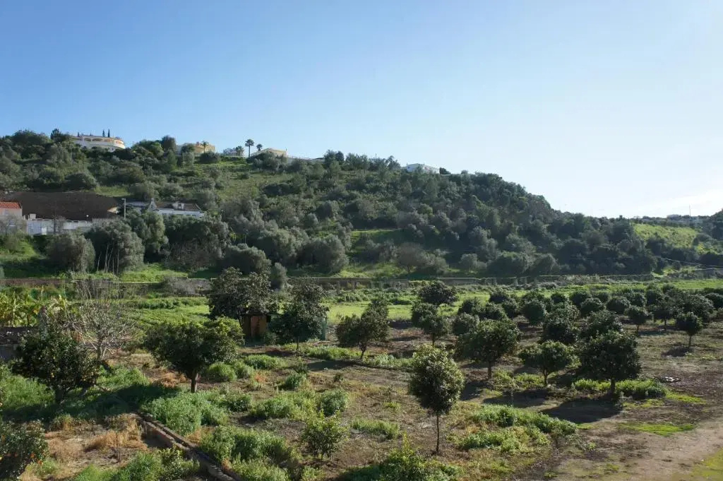 Horta Grande