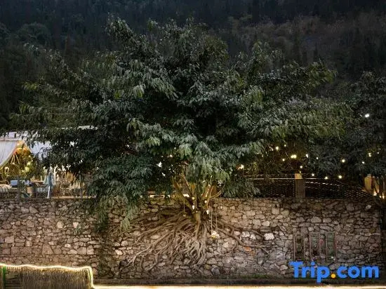 Yizhao Yixi Inn
