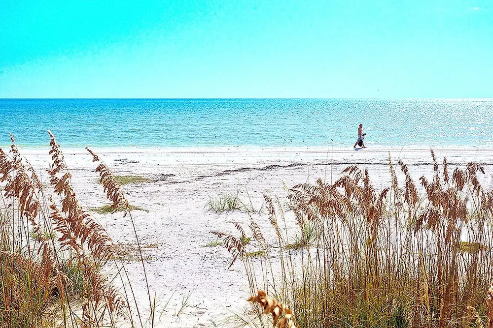 Flagler Dream by Vtrips